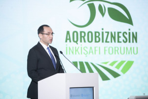 Bakıda V Aqrobiznesin İnkişafı Forumu keçirilib