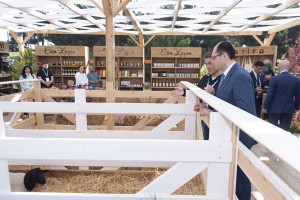 “Caspian Agro 2026” və “InterFood Azerbaijan” sərgisinə baxış keçirilib