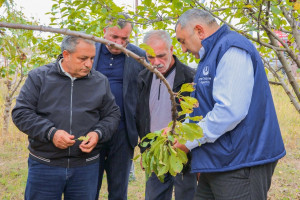Xocalı və Xocavənddə səyyar aqrar xidmətlər göstərilib