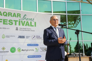 Ağcabədidə Aqrar Biznes Festivalı və mövsümün ilk Toxum Sərgi-Satış Yarmarkası keçirilib