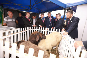 Göygöl rayonunda III Moruq və Aqrar Biznes Festivalları keçirilib