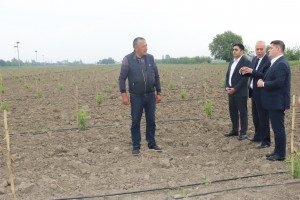 Elm, təhsil və insan resursları şöbəsinin müdiri İlham Süleymanov Bərdədə vətəndaşları qəbul edib, təsərrüfatlara baş çəkib