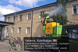 Xaçmazda qəhvəyi mərmər bağacığının qışlama dövrü ilə əlaqədar kompleks mübarizə tədbirləri həyata keçirilir