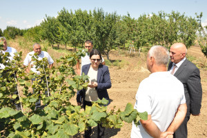 Kənd təsərrüfatı nazirinin müavini İlhamə Qədimova Biləsuvarda vətəndaşları qəbul edib, təsərrüfatlara baş çəkib