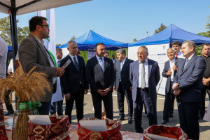 Ağcabədidə Aqrar Biznes Festivalı və mövsümün ilk Toxum Sərgi-Satış Yarmarkası keçirilib