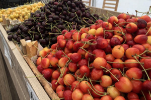 Bakı və Abşeronda “Kənddən Şəhərə” həftəsonu yarmarkaları keçiriləcək