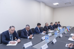 Azərbaycan və Özbəkistan arasında aqrar sahədə əməkdaşlıq məsələləri müzakirə olunub