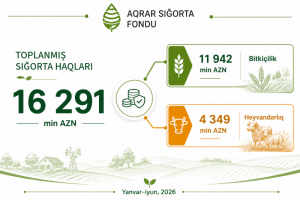 Azərbaycanda sığortalanan əkin sahələri 341 min hektarı keçib