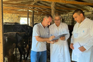 Dövlət Proqramının prioritet istiqamətləri üzrə baytarlıq xidmətlərinin gücləndirilməsi davam etdirilir
