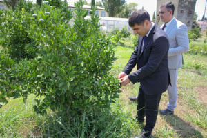 Aqrar Xidmətlər Agentliyinin sədri Sərdar Hacıyev Lənkəran Dövlət Universitetində olub