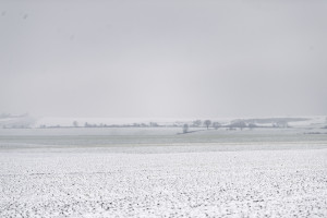“İvanovka Aqropark”a qeydiyyat şəhadətnaməsi təqdim edilib