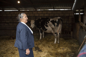 AFAQ layihəsi çərçivəsində Goranboy rayonunda qadın fermerlərə dəstək göstərilib