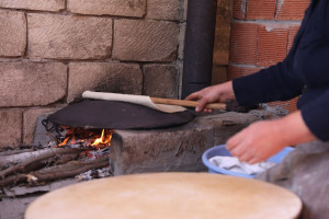 “Şəhərdən Kəndə” layihəsi çərçivəsində Şamaxıda fermer təsərrüfatına dəstək göstərilib