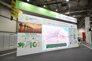 Prezident İlham Əliyev 19-cu “Caspian Agro Week” və 31-ci “InterFood Azerbaijan” sərgiləri ilə tanış olub