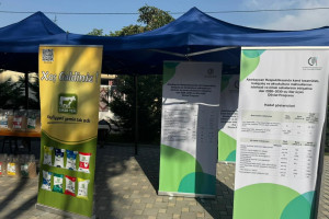 Samux rayonunda ilin ilk məhsul festivalı keçirilib