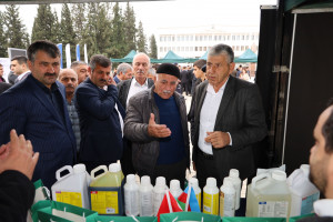 Saatlıda Aqrar Biznes və “Pambıq” festivalları keçirilib