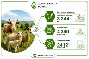 Azərbaycanda sığortalanan əkin sahələri 341 min hektarı keçib