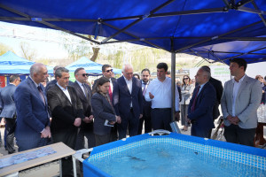 Laçın rayonunda Aqrar Biznes Festivalı keçirilib