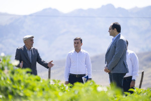 Nazir Məcnun Məmmədov Lerikdə təsərrüfatlara baxış keçirib, fermerlərlə görüşüb