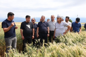 “Toxumçuluğun inkişafında sertifikatlaşmanın əhəmiyyəti” mövzusunda tədbir keçirilib