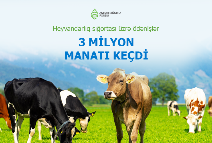 Azərbaycanda indiyədək heyvandarlıq sığortası üzrə 3,2 milyon manat ödəniş həyata keçirilib