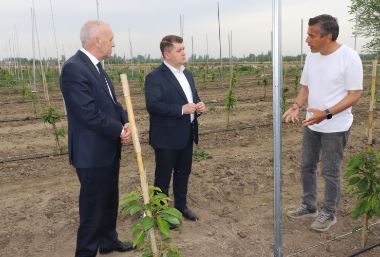 Elm, təhsil və insan resursları şöbəsinin müdiri İlham Süleymanov Bərdədə vətəndaşları qəbul edib, təsərrüfatlara baş çəkib
