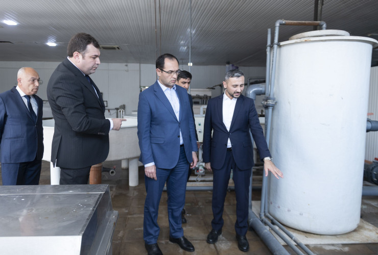 Nazir Məcnun Məmmədov Neftçalada “Xıllı balıq" MMC-nin fəaliyyəti ilə tanış olub