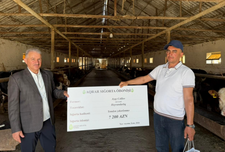 Aqrar Sığorta Fondu Xaçmaz və Xızıda təsərrüfatlara dəymiş zərərlər üzrə sığorta ödənişləri həyata keçirib