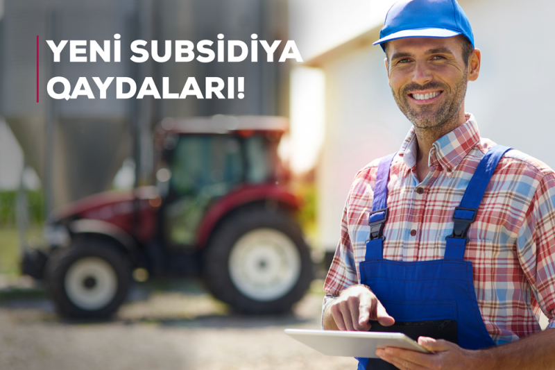 subsidiyalar